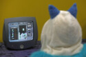 A person playing Tetris