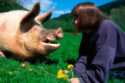 Imagebroker / Alamy Stock Photo