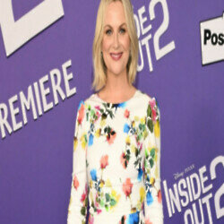 Mean Girls star Amy Poehler