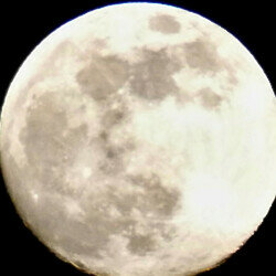 Dreaming Moon Dreams