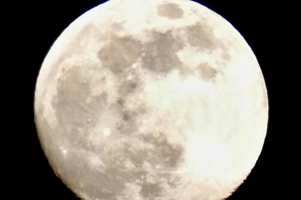 Dreaming Moon Dreams