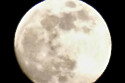 Dreaming Moon Dreams