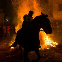 Year of The Fire Horse - What dreams mean