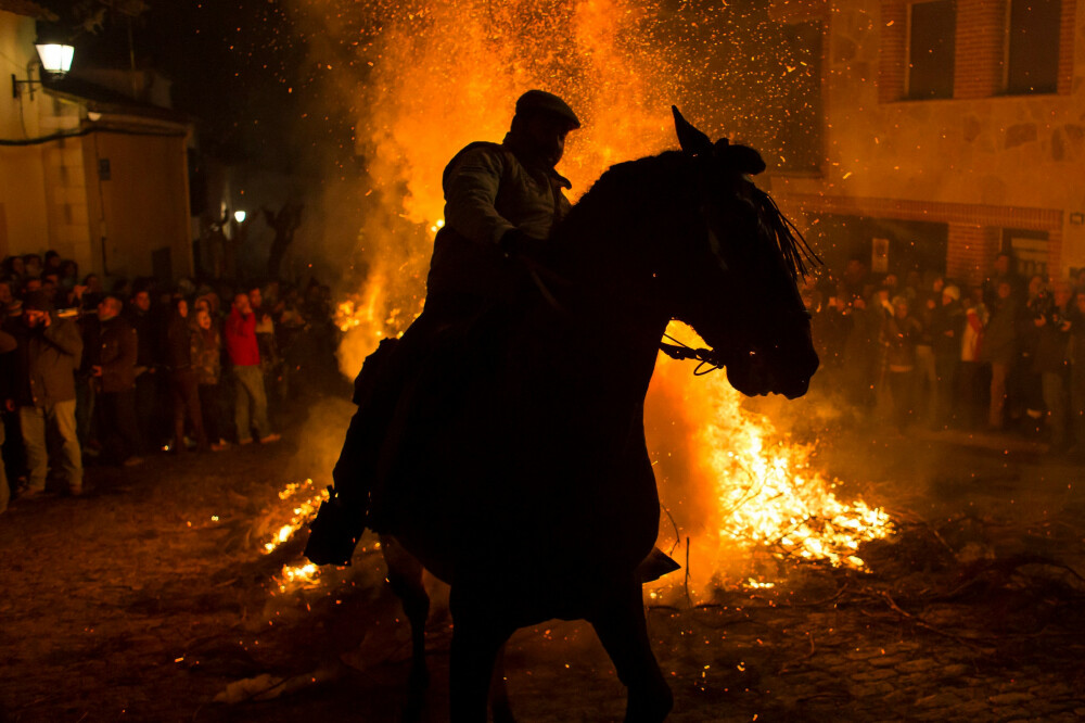 Year of The Fire Horse - What dreams mean