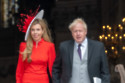 Carrie Johnson was consulted about a new drama on ‘Black Cab Rapist’ John Worboys after she was targeted by the predator