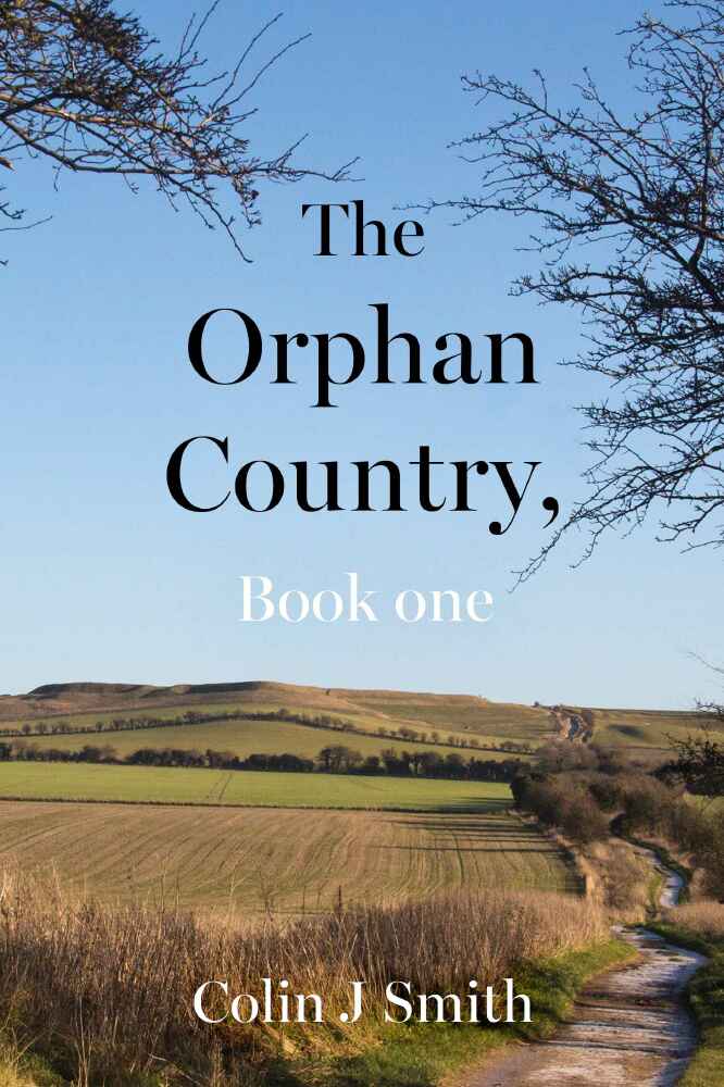 The Orphan Country - Colin J Smith