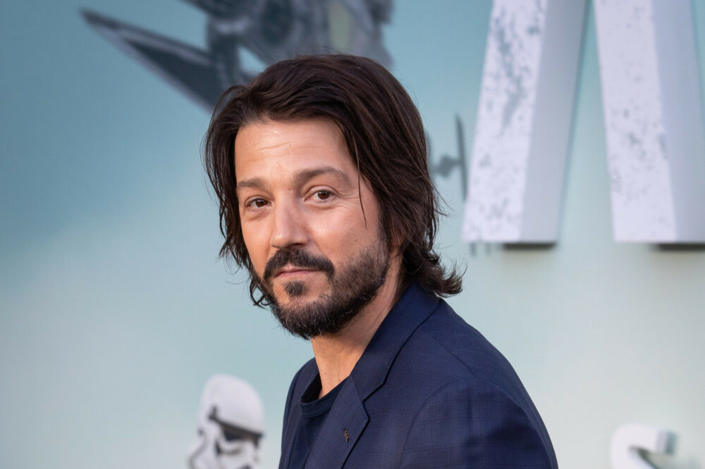 Diego Luna will appear in Tangled