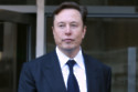 Elon Musk is the co-founder and CEO of Tesla