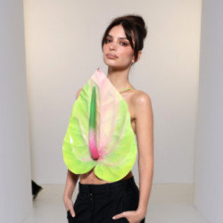 Emily Ratajkowski is reportedly not ‘looking for anything serious’ from Harry Styles