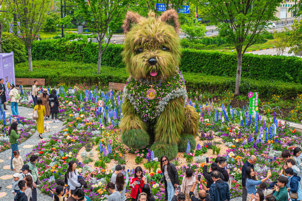Giant floral puppy display at the Shanghai International Flower Show.