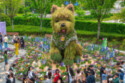 Giant floral puppy display at the Shanghai International Flower Show.