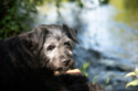 Gone Fishing's Ted