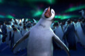 Happy Feet is getting turned into a stage musical