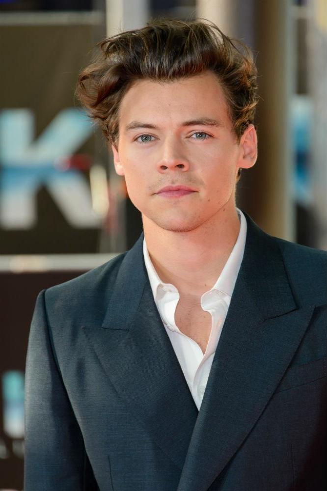 Harry Styles saw some big success with his debut LP