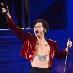 Harry Styles is said to have splashed nearly £4 million on a mansion that is being transformed into a nursery he hopes will make him a fortune