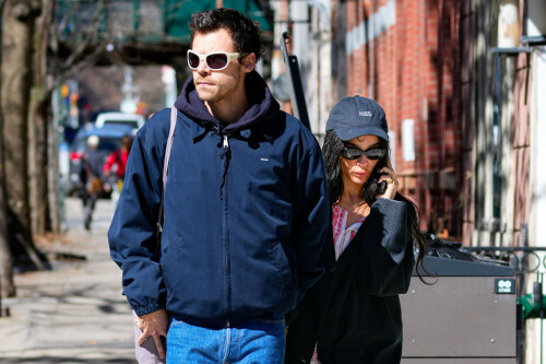 Harry Styles is reportedly facing calls to consider getting a prenuptial agreement after he was said to have spent up to $1 million on an engagement ring for Zoë Kravitz