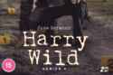 Harry Wild Series 4 on DVD