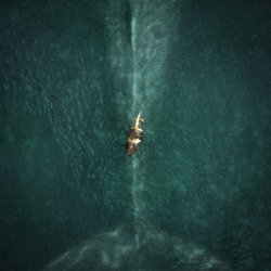 In The Heart of the Sea