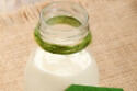Kefir