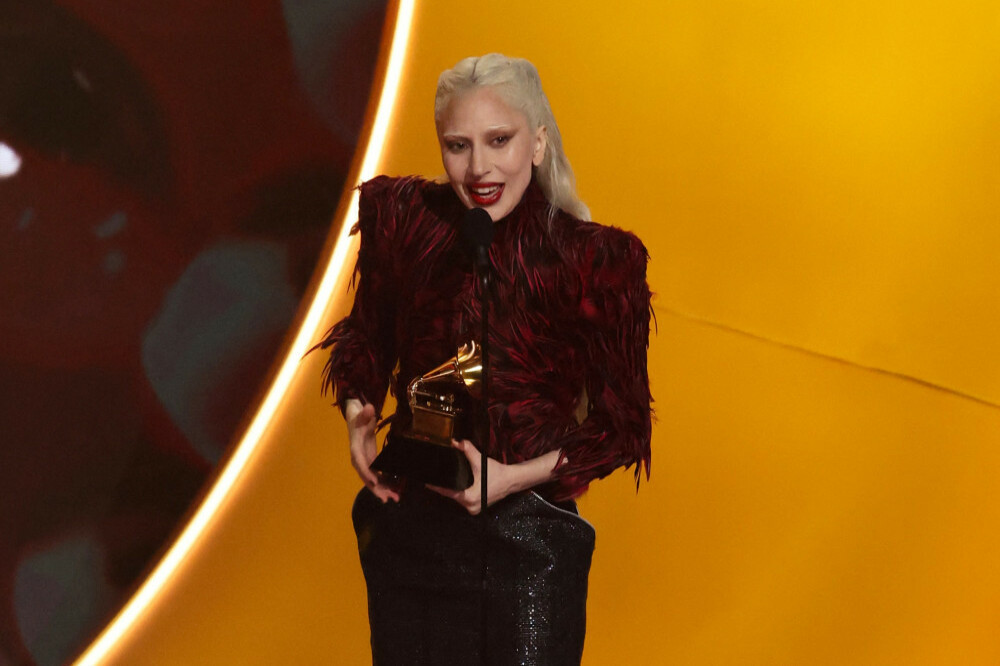 Lady Gaga is depicted having a dramatic backstage moment at the 2010 Met Gala in a new novel written by a former Vogue editor