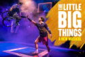 The Little Big Things