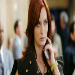 Leslie Fremar says she inspired Emily Blunt's character in The Devil Wears Prada