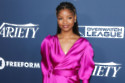 Halle Bailey starred in the 2023 movie