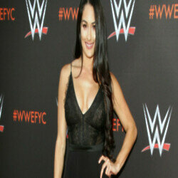 Nikki Bella opens up John Cena's WWE retirement