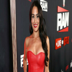 Nikki Garcia's recent relationship was with Artem Chigvintsev