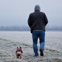 Dogs can understand humans