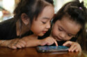 Parenting has little impact on narcissistic traits in children