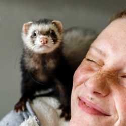 Wolfgang Neubauer / Alamy Stock Photo