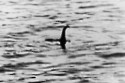The Loch Ness Monster has been ‘spotted’ two more times within a matter of days