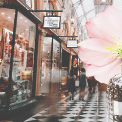 sense of smell