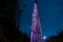 World's tallest bedded Christmas tree / © Guinness World Records