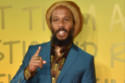 Ziggy Marley sang the theme song for Arthur
